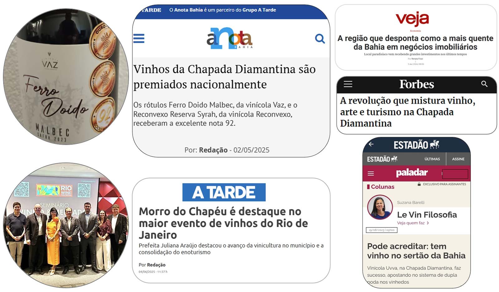 Matérias publicadas na mídia sobre as vinícolas da Chapada Diamantina