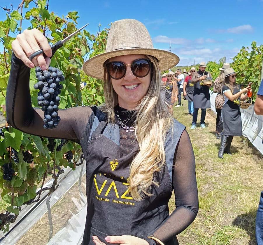 Colheita das uvas: Vindima na Vinícola Vaz